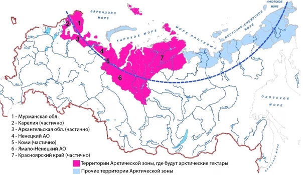 В первый день реализации программы «Арктический гектар» в Архангельской области подано 315 заявлений
